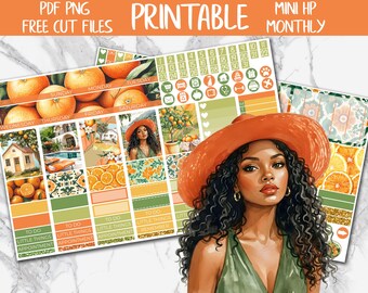 Citrus | Orange MINI Happy Planner Printable Planner Stickers, June MINI Monthly Kit, Summer Coastal MINI Happy Planner Digital Stickers