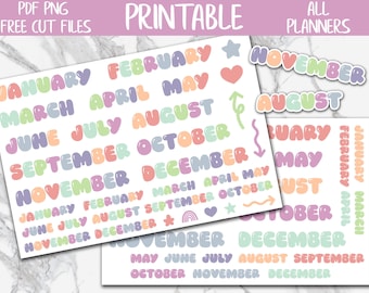 Colorful Months Scripts Printable Planner Stickers, Rainbow Pastel Months, Functional Planning Stickers, Digital Stickers PNG, Bujo Stickers
