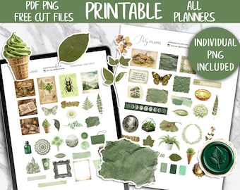 Green Deco Stickers | Bullet Journal Printable Stickers, Bujo Digital Stickers PNG, Botanical Sticker Kit, Ephemera Journaling Stickers