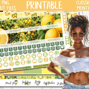 Lemonade | Summer Classic Happy Planner Printable Monthly Stickers, Fresh Lemon Dessert HP Digital Stickers, Lemons June Monthly Sticker Kit