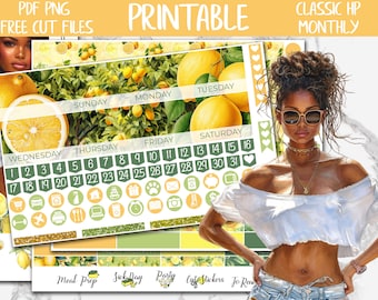 Lemonade | Summer Classic Happy Planner Printable Monthly Stickers, Fresh Lemons HP Digital Stickers, Citrus June Monthly Sticker Kit