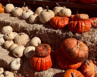 Pumpkins