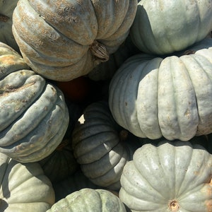 Pumpkins