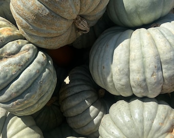Pumpkins