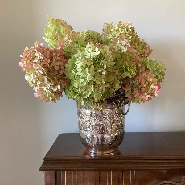 Champagne Bucket Etsy