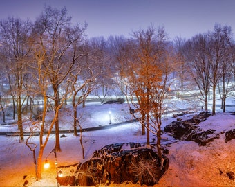 Central Park Snowfall by Gregory Essayan