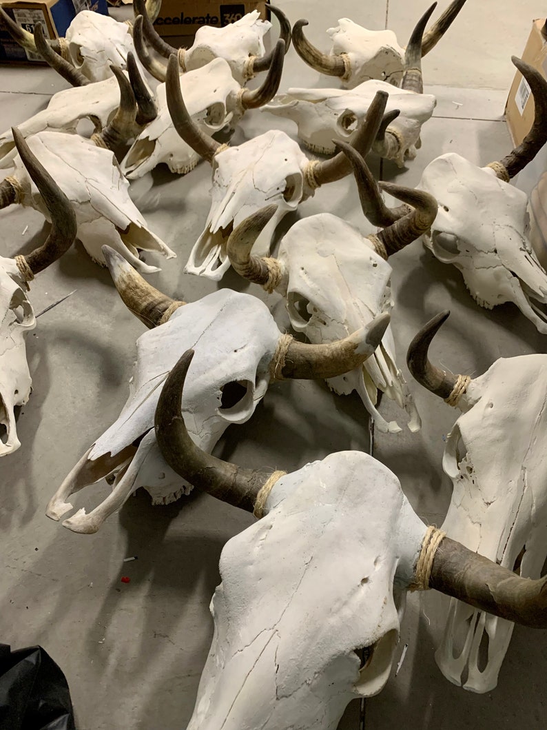 May include: A collection of white painted animal skulls with dark brown antlers. The skulls are arranged in a pile on a gray surface.