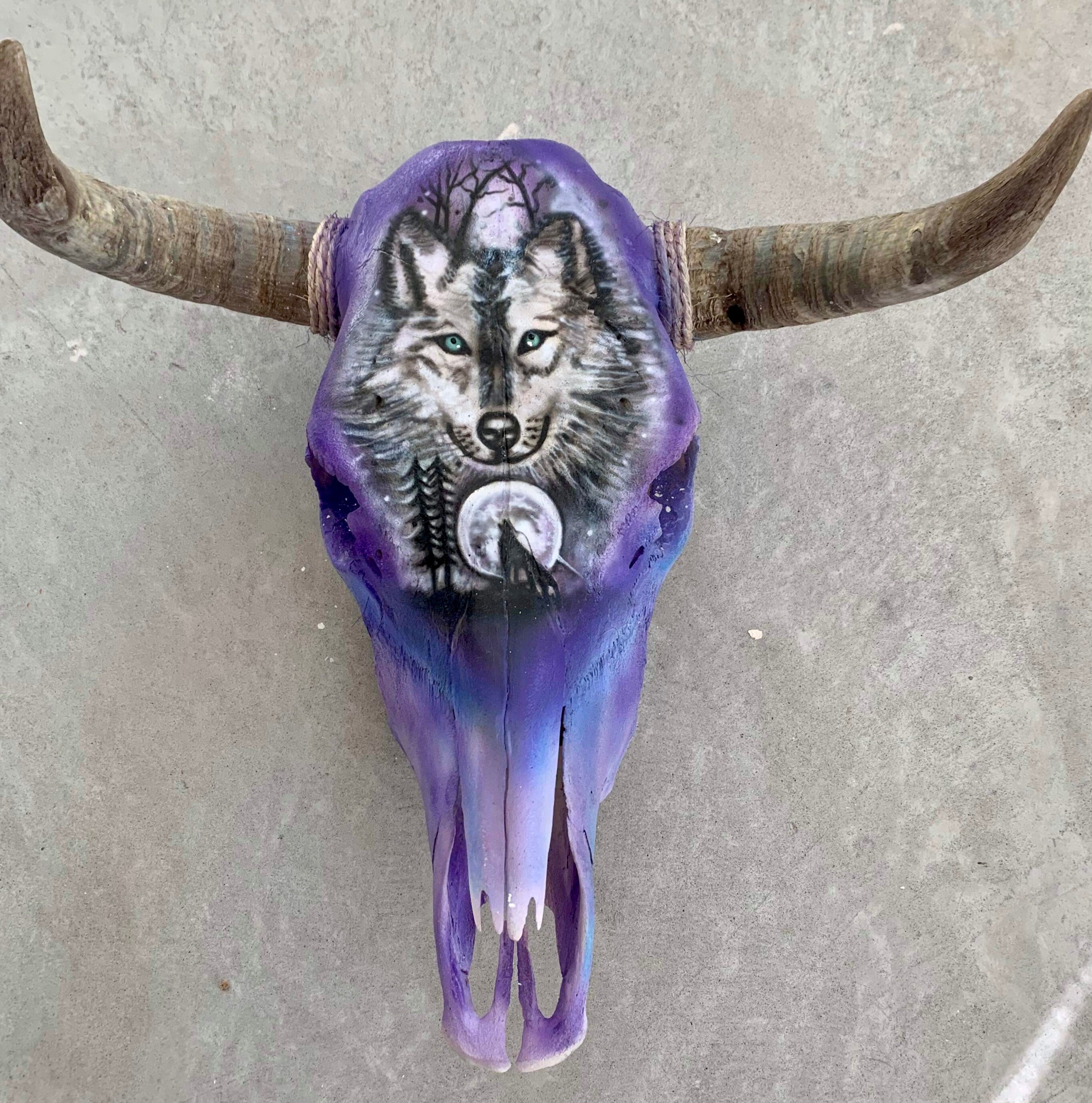 Hand painted cow skull | Etsy