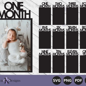 Monthly Baby Photo Svg - 12 month Photo Display - Babys First Year - First Birthday Photo Banner - Baby Milestone Svg - Instant download