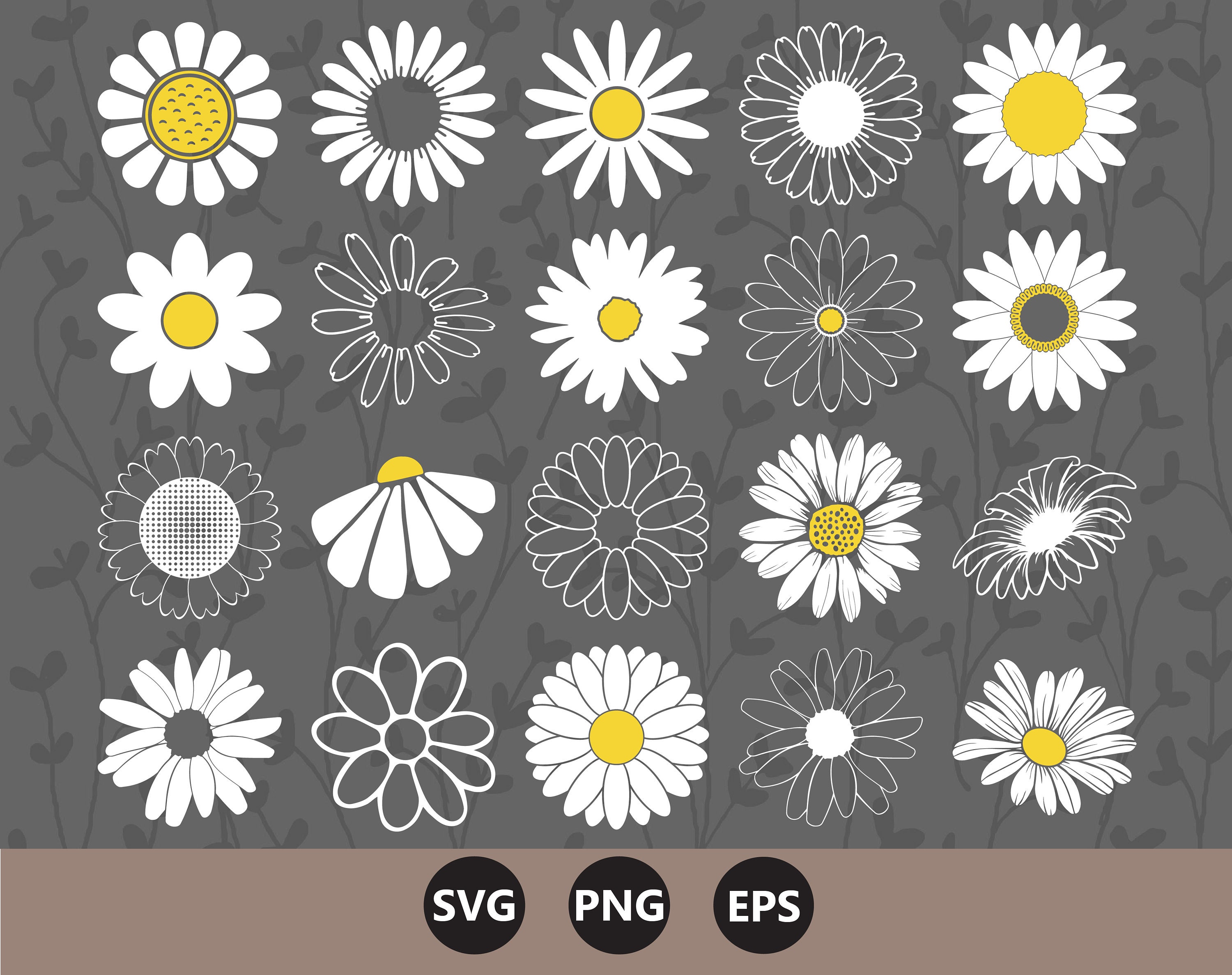 Daisy Svg BUNDLE Flower Svg Spring Svg Daisy Svg Daisy | Etsy Australia