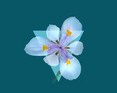 Pretty Greeting Card Spring Greeting Card LUCKY 3 PETALS Send Instantly