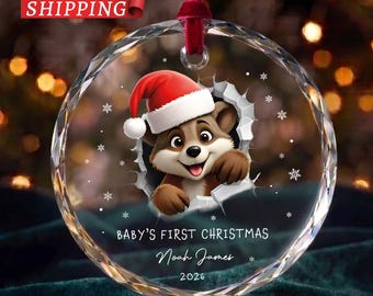 Baby’s First Christmas Ornament 2026, Personalized Raccoon with Santa Hat Christmas Gift, Newborn First Year Ornament, Custom Name Keepsake