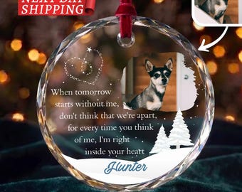 Pet Bereavement Memorial Photo Ornament, Personalized Pet Loss Keepsake, Rainbow Bridge Remembrance Gift, In Memory of Dog Cat Name Ornament