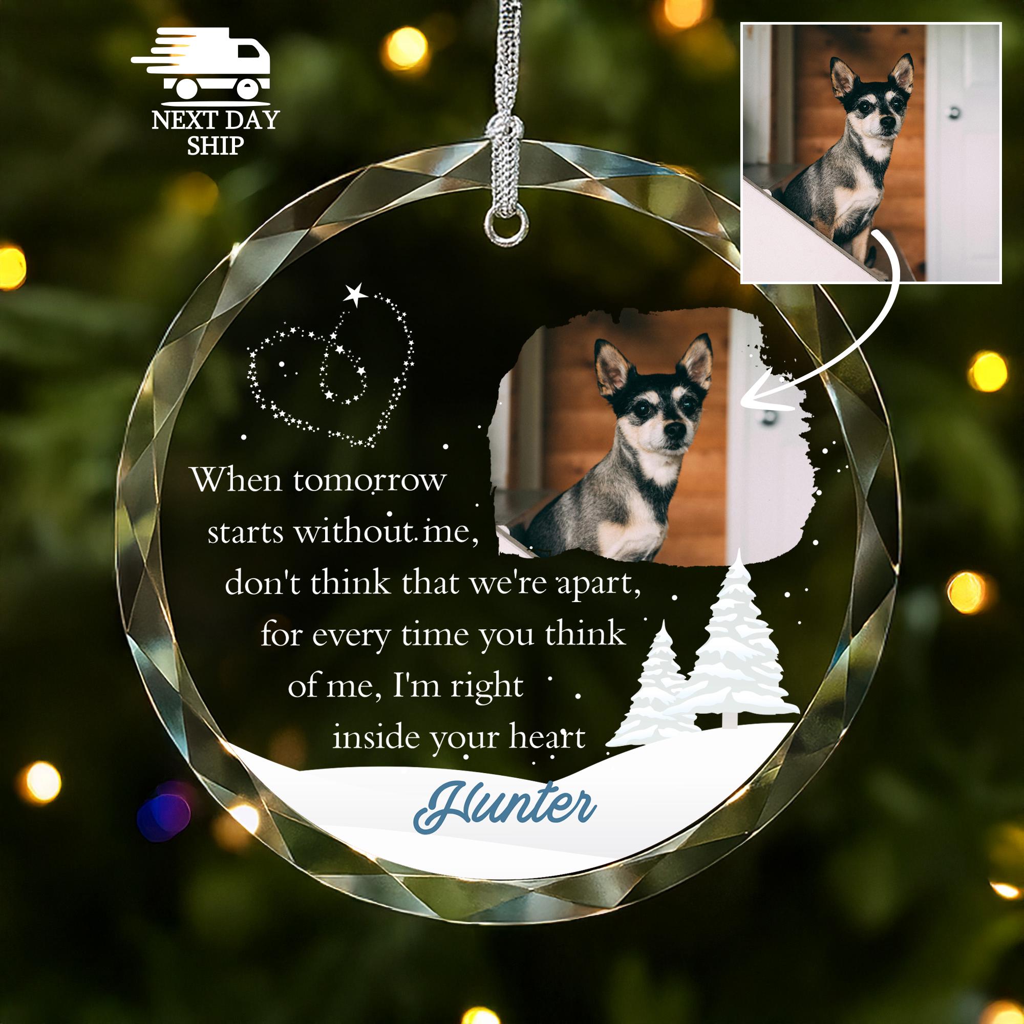 Pet Bereavement Memorial Photo Ornament, Personalized Pet Loss Keepsake, Rainbow Bridge Remembrance Gift, In Memory of Dog Cat Name Ornament