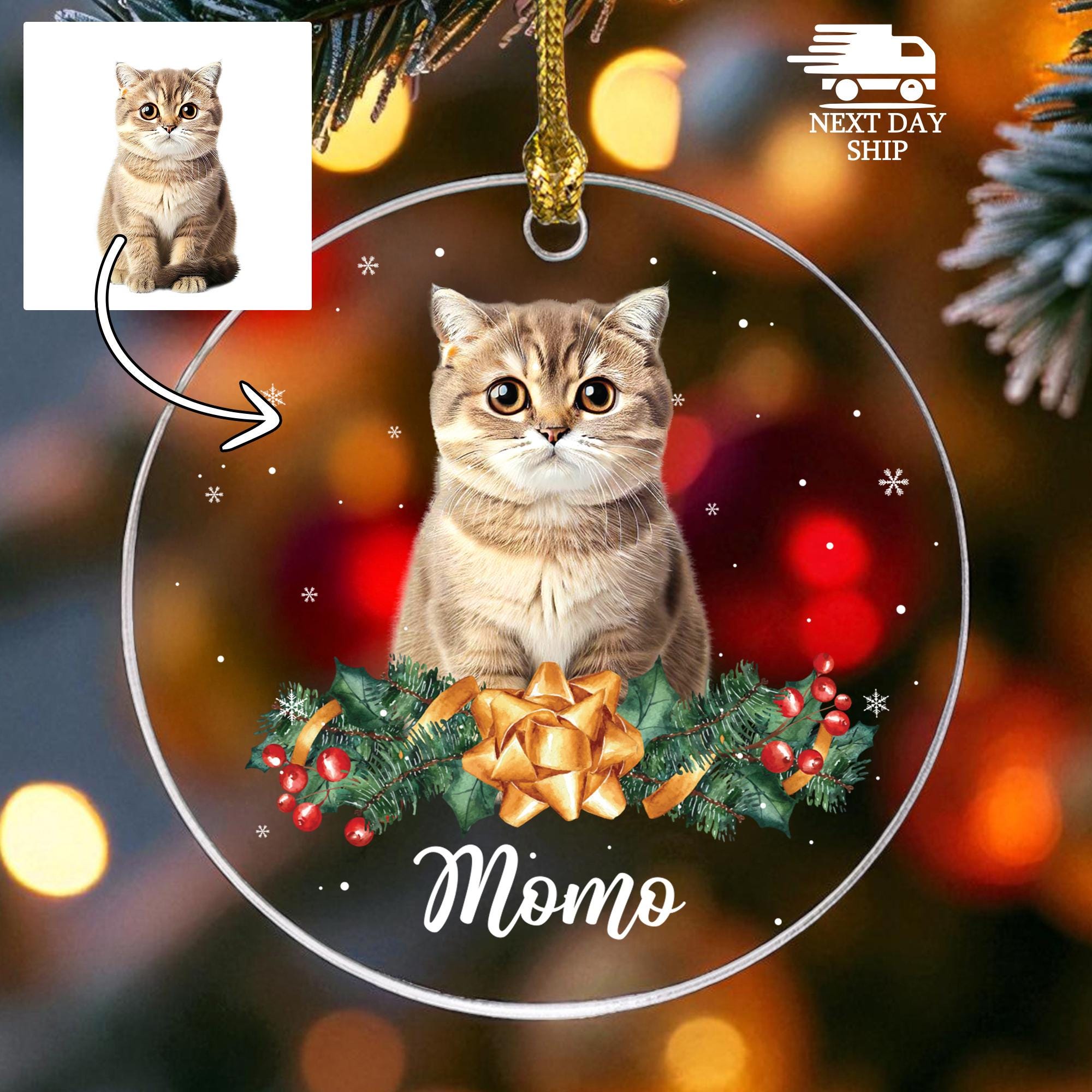 Cute Pet Photo Name Ornament, Personalized Pet Picture Keepsake, Acrylic Ceramic Glass Animal Portrait Ornament, Pet Owner Christmas Gift