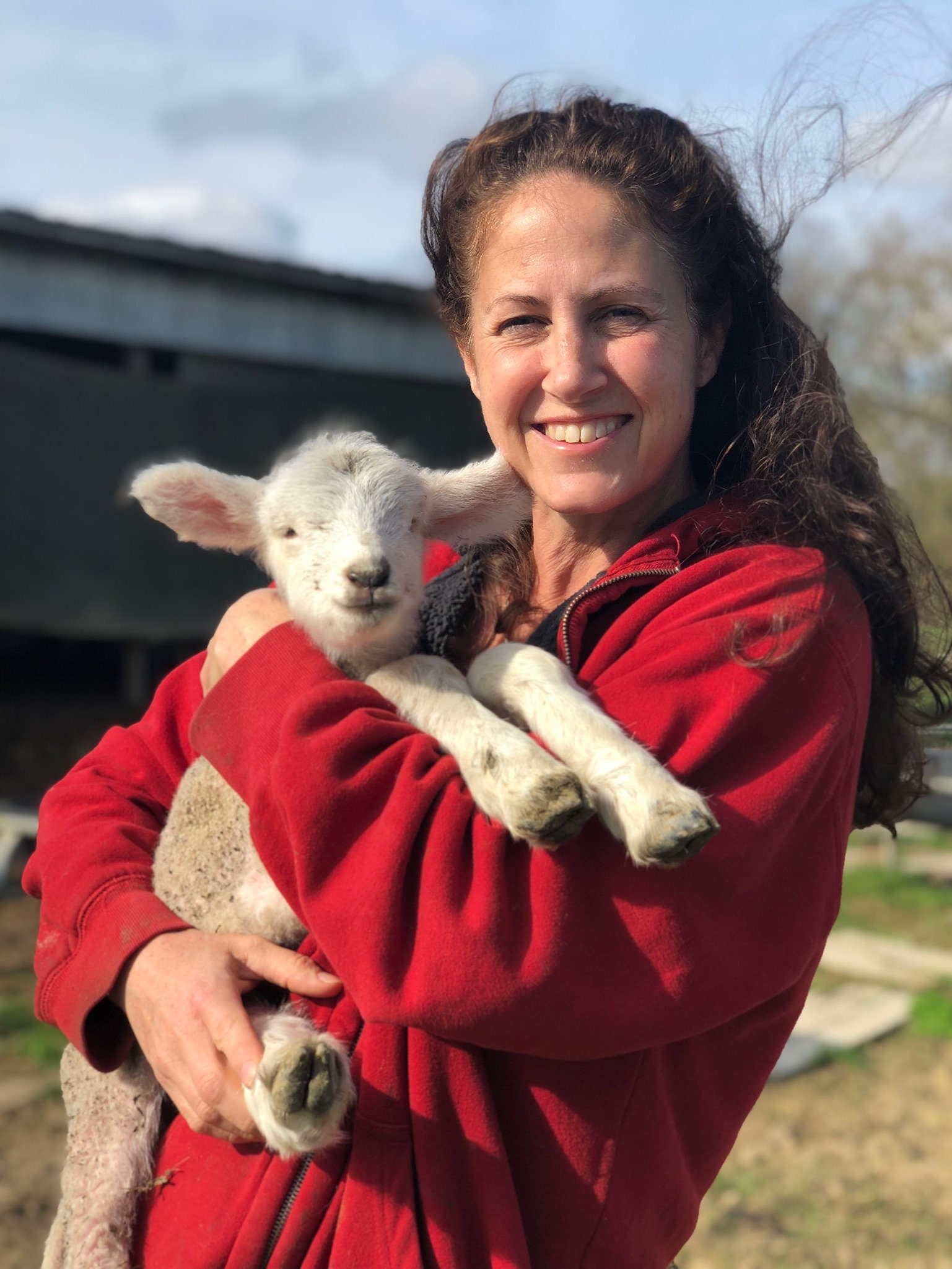 100 Corriedale All Natural Wool Roving Combed Top Ready to Dye and