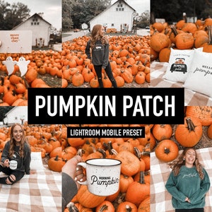 May include: A photo collage of a pumpkin patch with a variety of pumpkins in orange and green hues. The collage includes a person wearing a green sweatshirt with the word "pumpkin" on it, a person wearing a gray sweatshirt, and a person wearing a gray sweatshirt with a white mug that says "Morning Pumpkin". The collage also includes two white pillows with the text "Farm Fresh Pumpkin" and "Hello Pumpkin" on them.
