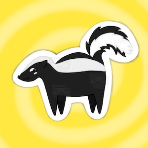 Skunk timida