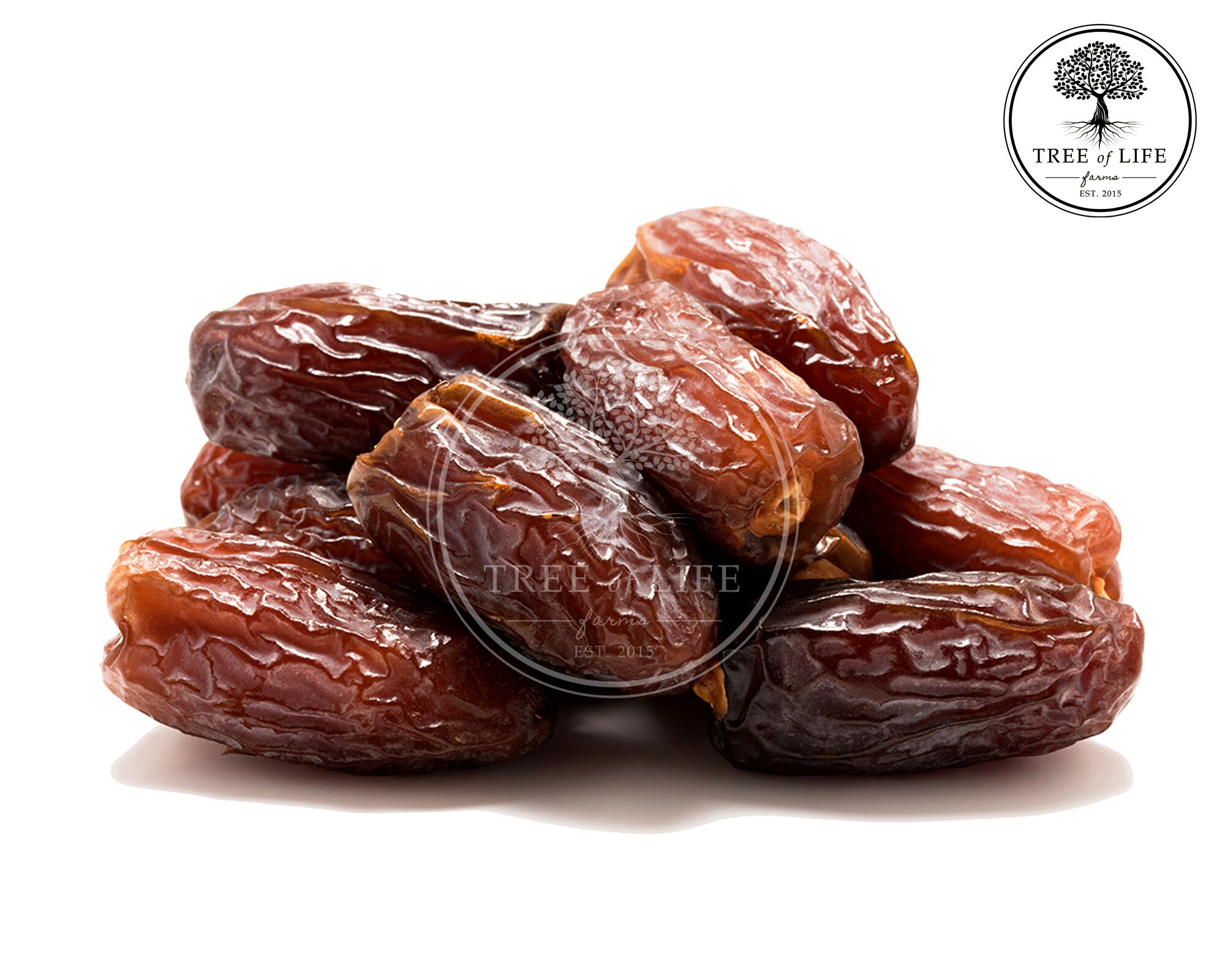 Medjool Pitted Dates Medjool Dates All Natural Unsulfured Etsy