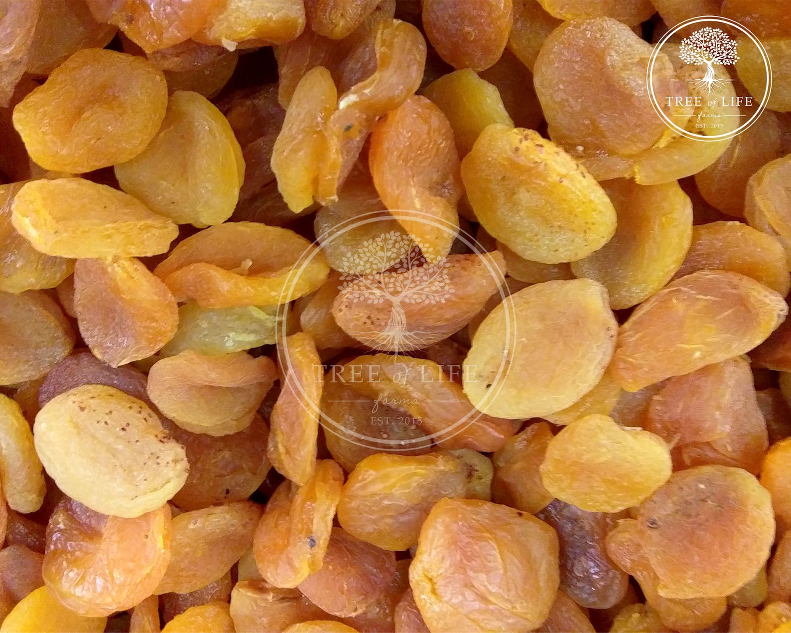 Dried Apricots Apricot Dried Fruit Snacks Apricot Slices Etsy