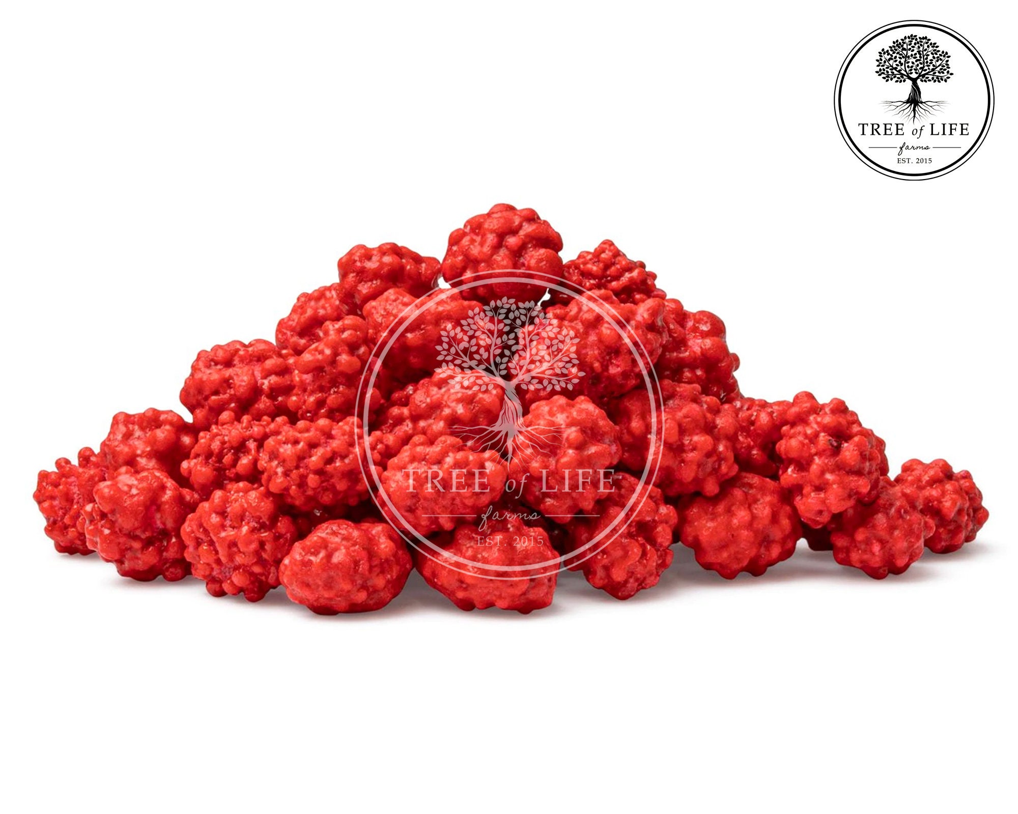 French Burnt Peanuts Etsy