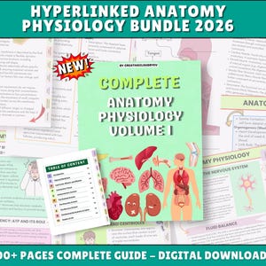 Studiegids anatomie en fysiologie: gelinkt, alle lichaamssystemen, meer dan 100 pagina's, 2026 (pdf)