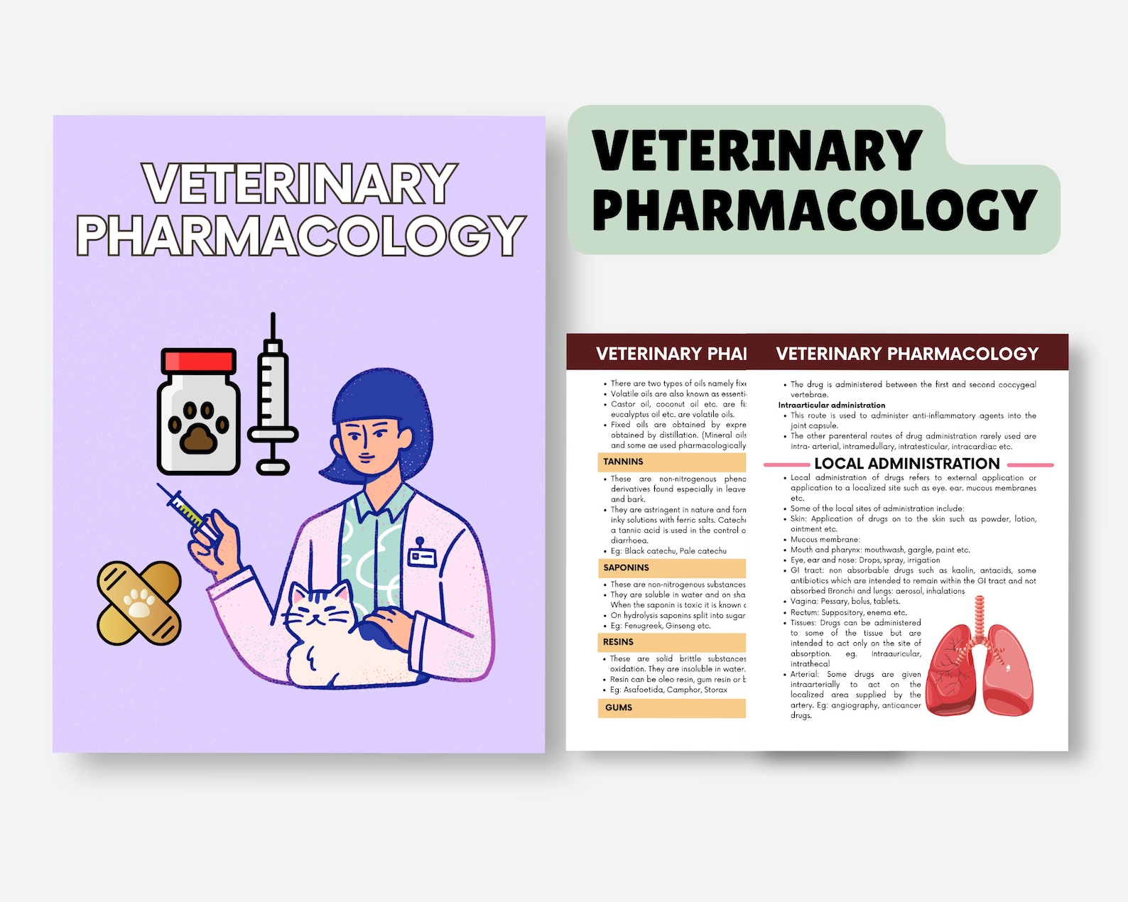 Vet Tech Notes Bundle: VTNE Prep, Vet Med Study Guide (digital Download ...
