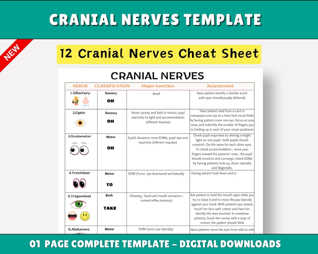Cranial Nerves Assessment Sheet for Nursing Students (PDF & PNG) - Etsy