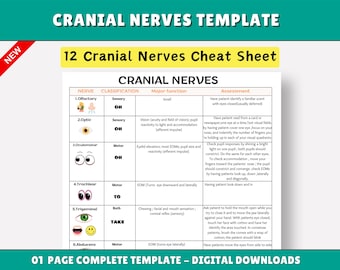 Cranial Nerves Assessment Sheet for Nursing Students (PDF & PNG)