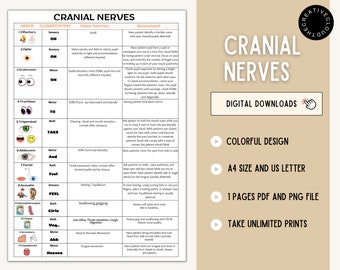 Cranial Nerves - Cranial Nerves Sheet - 12 Cranial Nerves - Nursing Cheat Sheet - Nursing Fundamentals - Nerve - Cranial Nerve PDF and PNG