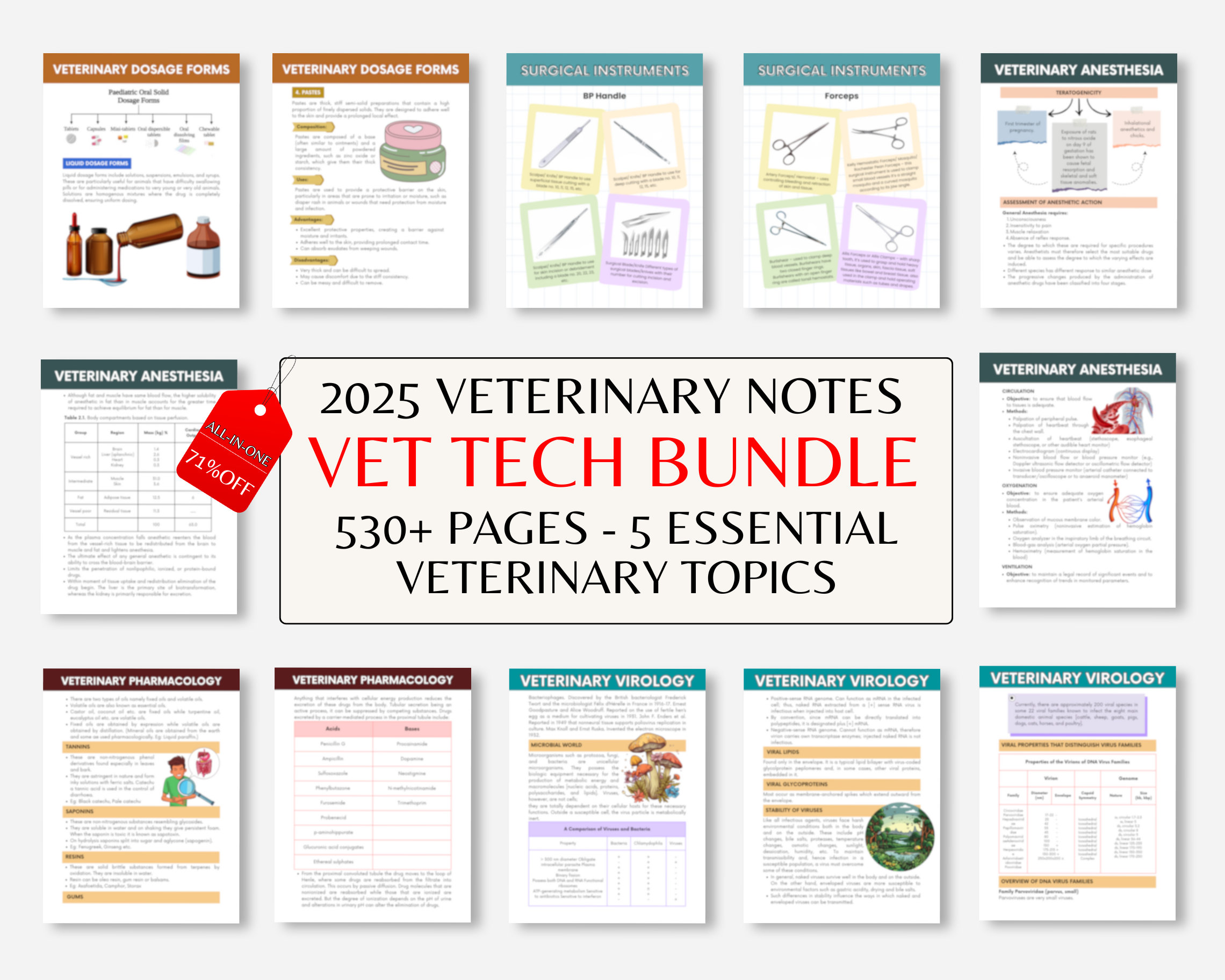 530 page Vet Tech Notes, Vet Med Study Guide, VTNE Prep: Entire Collection Bundle, Veterinary Technician Notebook Vet Medical Student Book