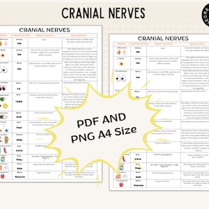 Cranial Nerves - Cranial Nerves Sheet - 12 Cranial Nerves - Nursing ...