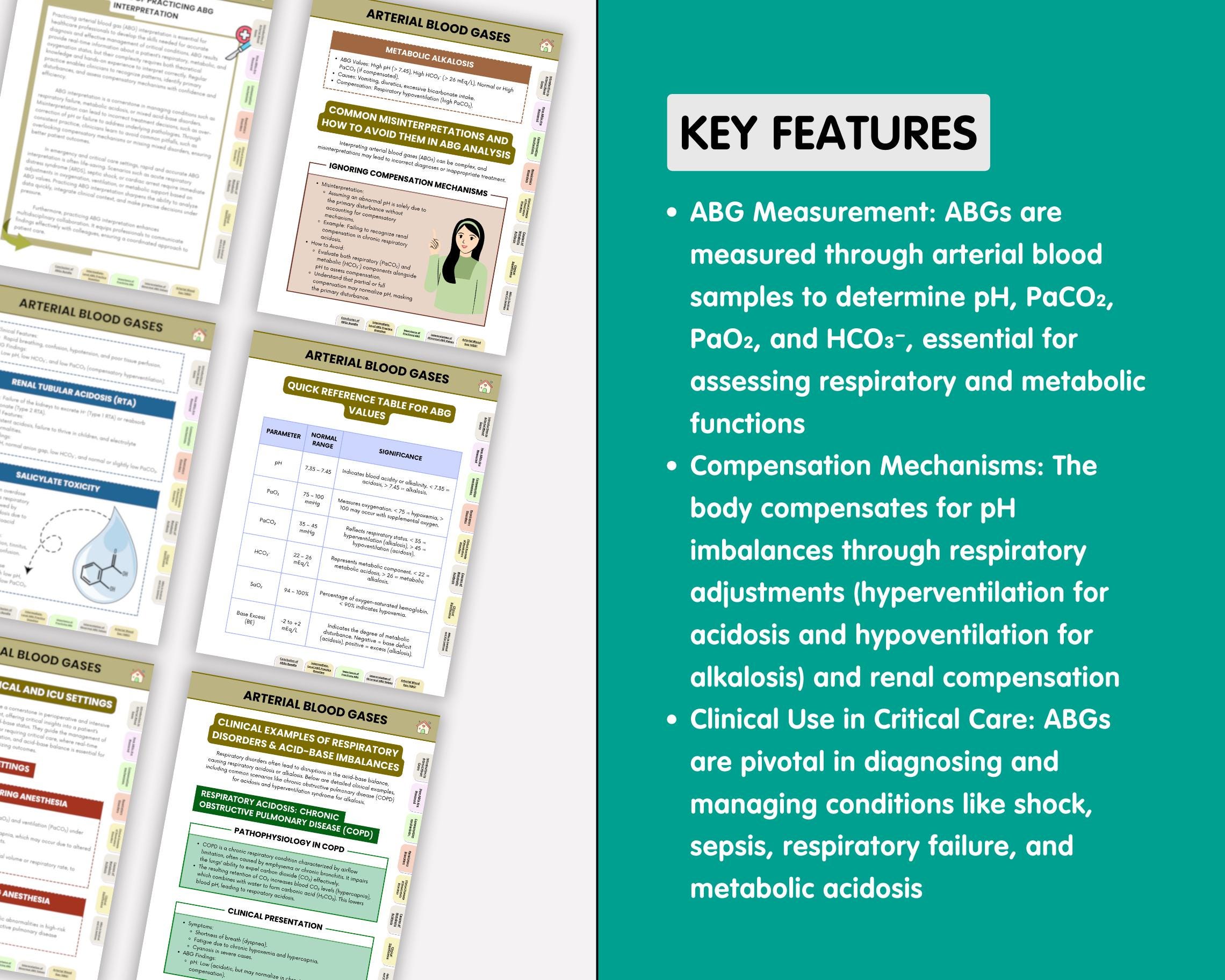 Arterial Blood Gases ABG Study Guide Bundle, Hyperlinked 2026 (digital ...