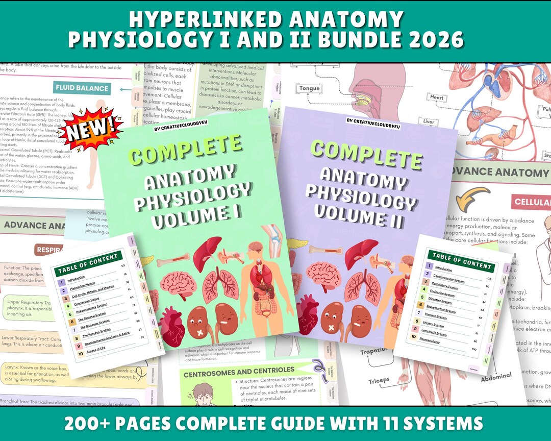 Anatomy Physiology Study Guide, MEGA BUNDLE (digital Download) - Etsy