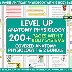 Volledige anatomiefysiologie I en II 200+ pagina's, studiegids anatomie, anatomiefysiologie 12 Systeemnotities | ADVANCE en bijgewerkte EDITIE 2025
