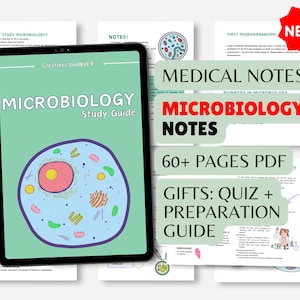 Microbiology Masterclass Cheat Sheet Bundle: Medical Student Study ...