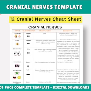 Tabla de nervios craneales: Guía de estudio para estudiantes de enfermería (PDF y PNG)