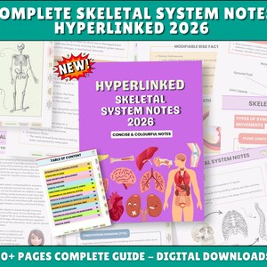 Skelettsystem Anatomie Notizen, Hauptknochen Diagramme, Spickzettel, 2026 Hyperlinked (Digitaler Download)