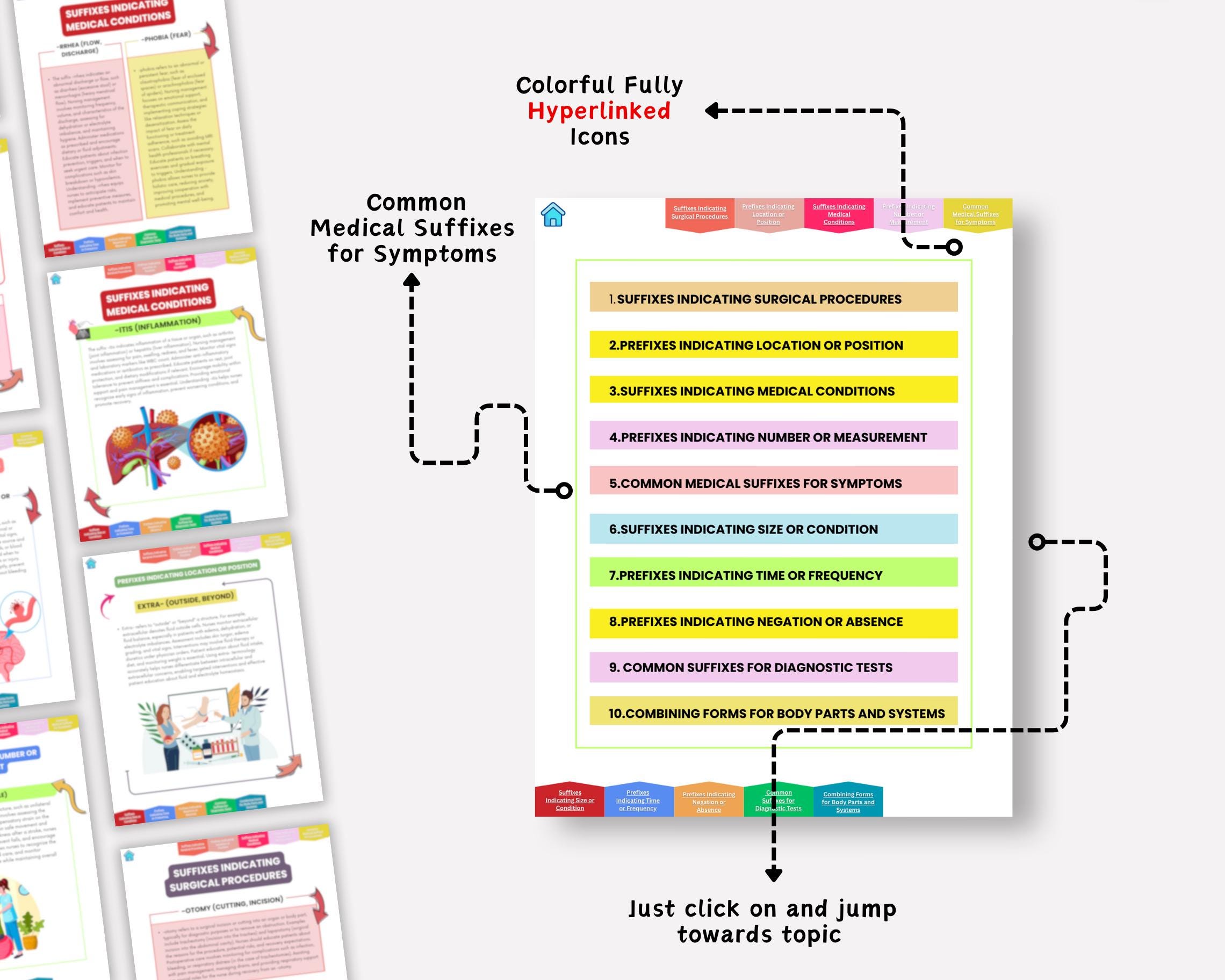Medical Terminology Study Guide, Prefixes, Suffixes, Abbreviations, EMS ...