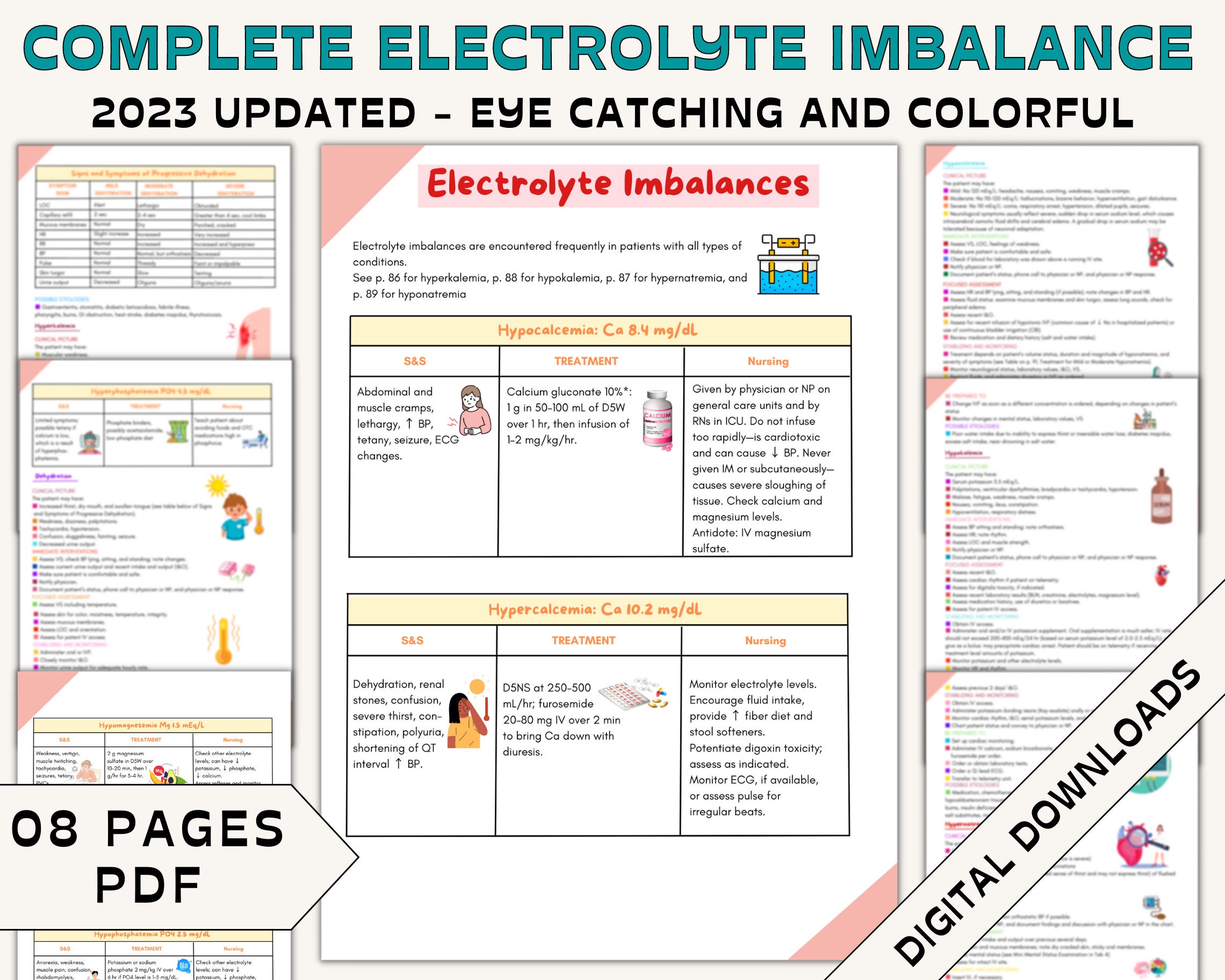 Blank electrolyte chart
