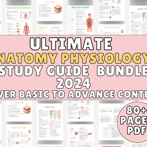 Complete Anatomy and Physiology Nursing 80+ Pages, Anatomy Study Guide, Anatomy Notes, Physiology Notes, Nursing Study Guide,Nursing Bundle