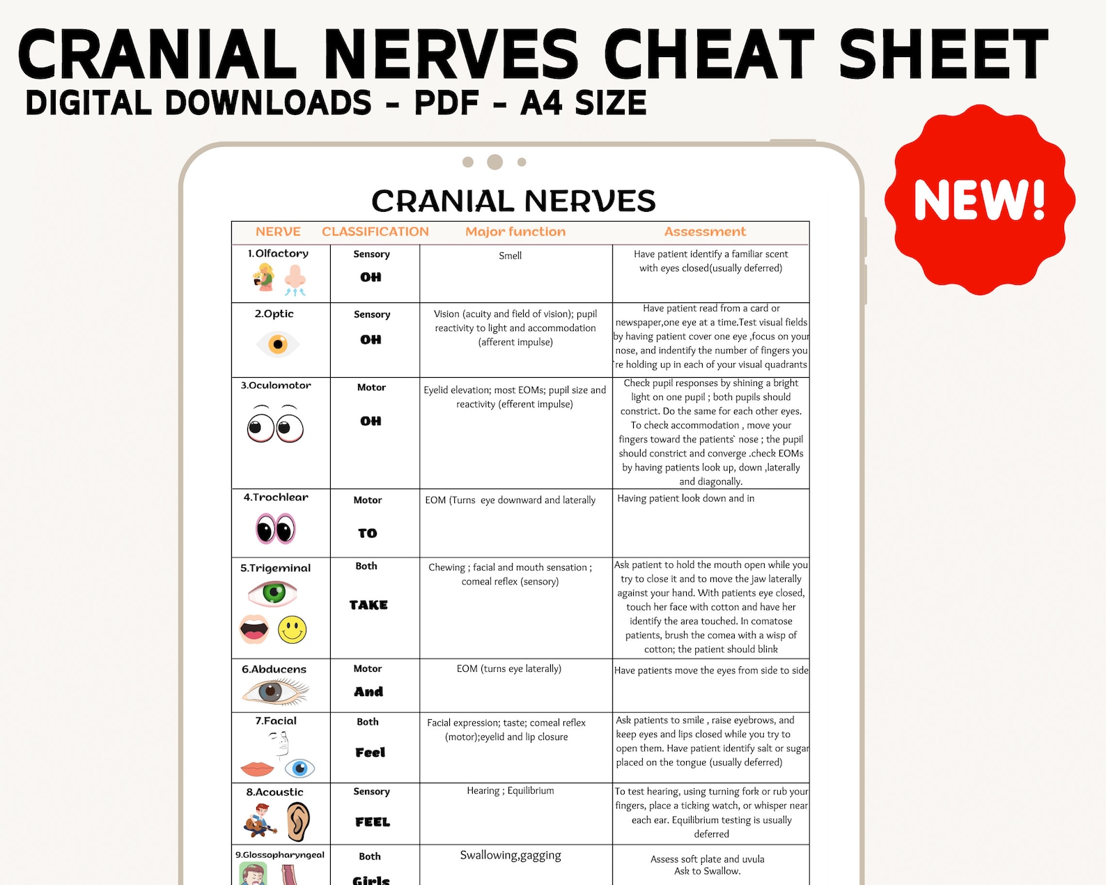 Cranial Nerves Assessment Sheet for Nursing Students (PDF & PNG) - Etsy