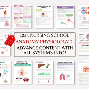 Volledige anatomie en fysiologie Nursing II, 90+ pagina's, studiegids anatomie, anatomische aantekeningen, aantekeningen fysiologie, studiegids verpleegkunde, verpleegbundel