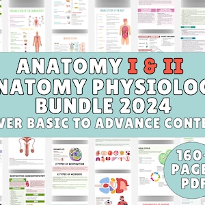 Complete Anatomy Physiology I & II 160+ Pages, Anatomy Study Guide, Anatomy Notes, Physiology Notes, Nursing Study Guide, Nursing Bundle