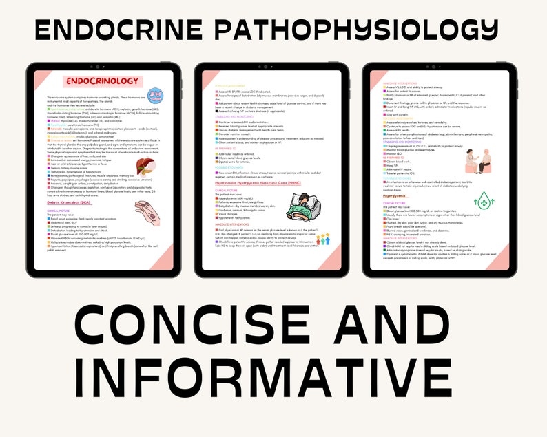 Pathophysiology Study Guide Bundle 70 Pages Pathophysiology Etsy