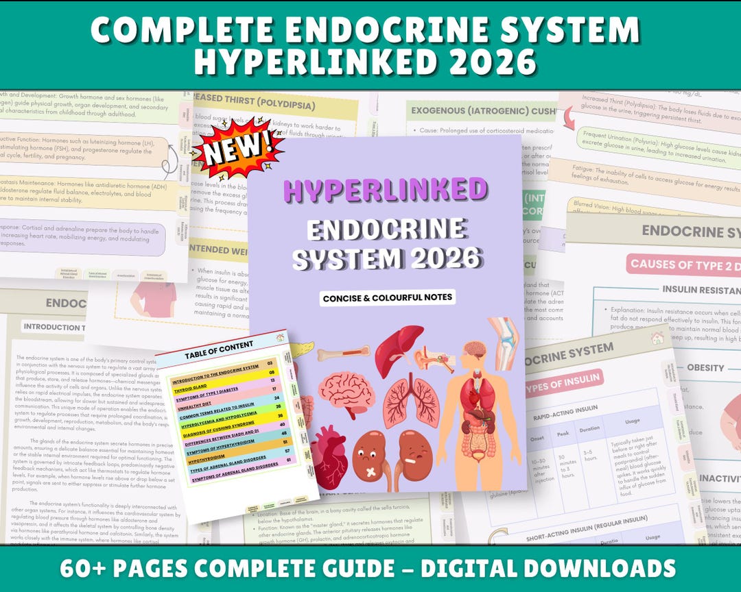 Endocrine System Nursing Study Guide 2026: Endocrine Disorders (PDF ...