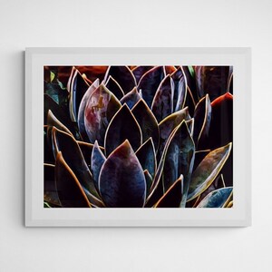 Dark Colorful Succulents, Digital Download, Modern Art, Home Decor, Wall Art