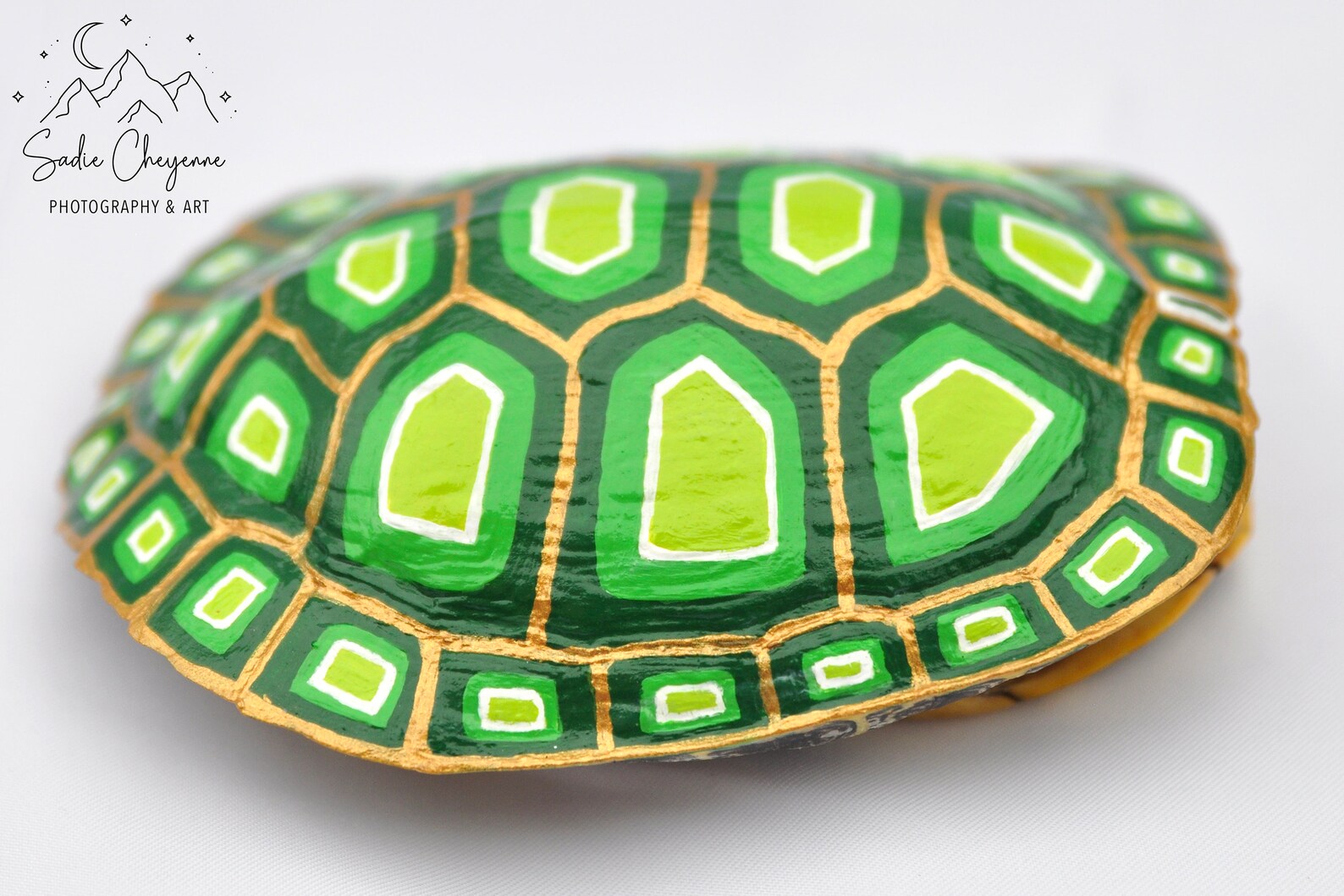 Real Turtle Shell Green Gold Geometric Turtle Art Home Etsy