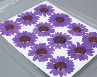 12 x Dark Purple Pressed Dried Daisy Flowers, Resin Art, Scrapbooking, Card Making, Jewellery Crafts, Resin Flowers, Craft Flowers