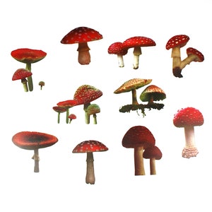 10 x Stickers champignons, champignons, champignons, stickers pour oeuvre d'art en résine, insert en résine, scrapbooking, forme de champignon, fournitures créatives